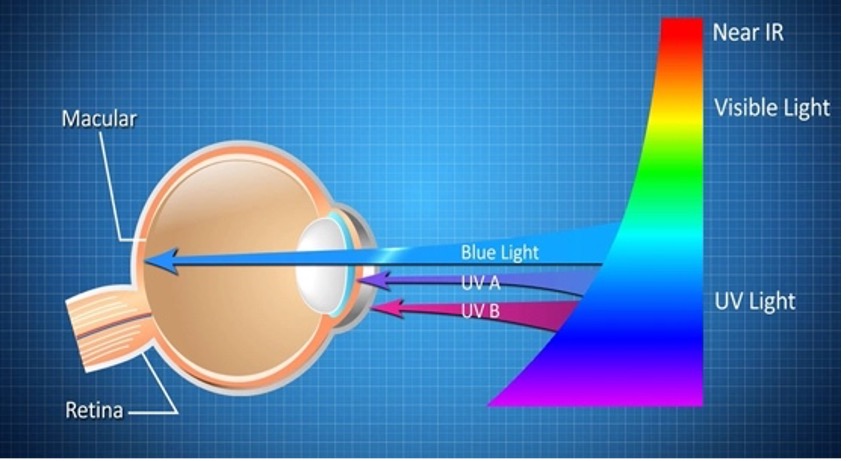 Use Voucher Code: BLUEUV to get Free Blue UV coatings. Save up to £50.