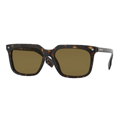 Burberry BE4337 Carnaby Sunglasses | Designer Glasses