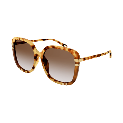 Chloe CH0106SA Sunglasses