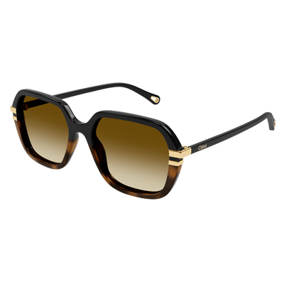 Chloe CH0204S Sunglasses