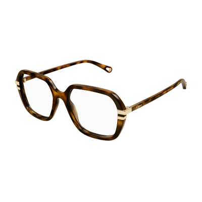 Chloe CH0205O