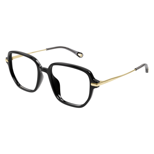 Chloe CH0218OA Designer Glasses