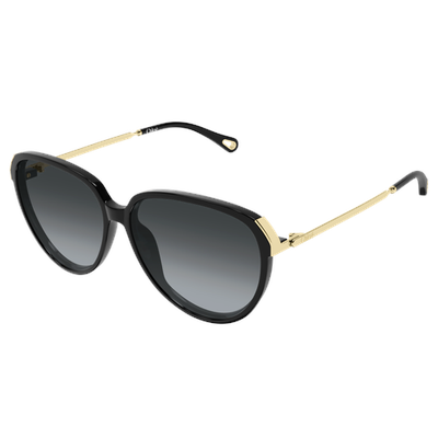 Chloe CH0406S Sunglasses