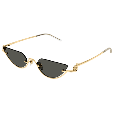 Gucci GG1603S Sunglasses