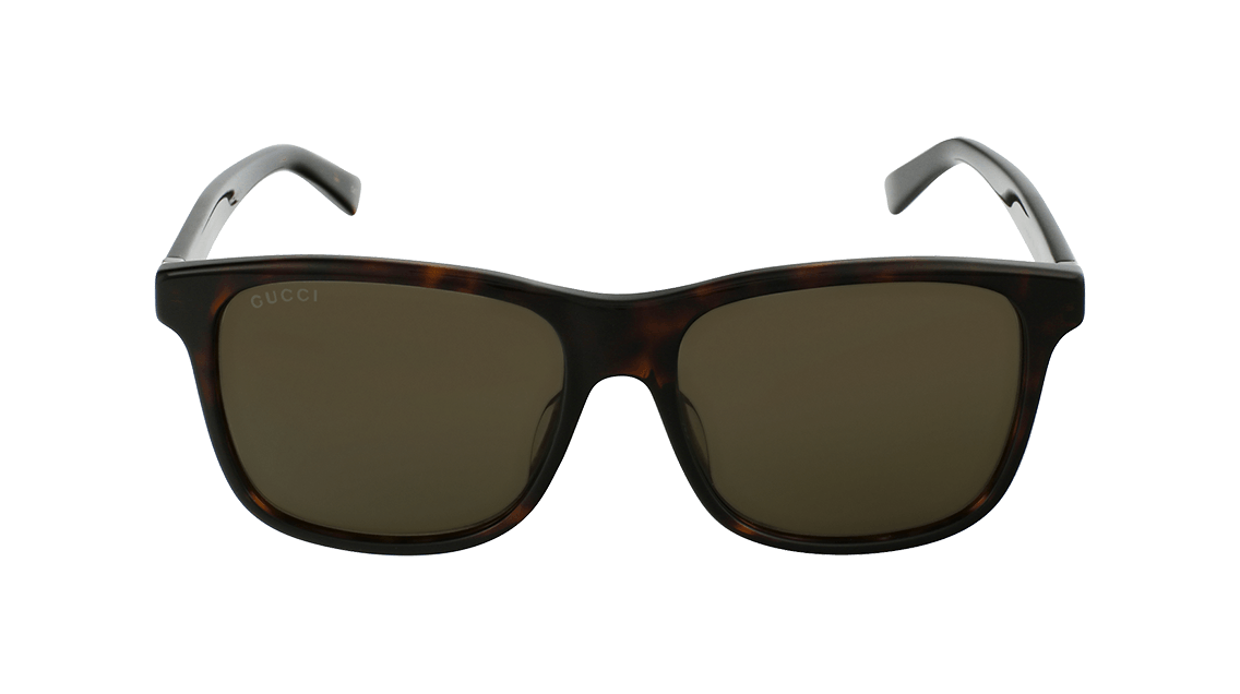 Gucci Logo Sunglasses Brown GG0451SA Gucci GG0459S XXS (54 - 19) with Brown lenses and Tortoise  main image 3