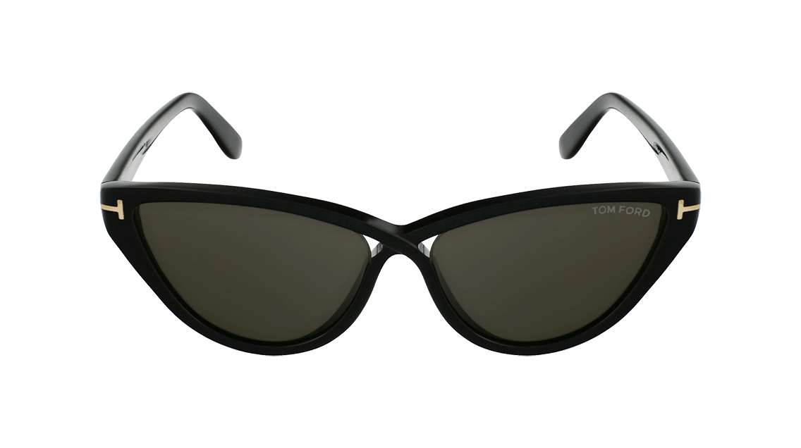 Tom Ford FT 0740 FT0740 Charlie-02 Sunglasses | Designer Glasses display picture 1