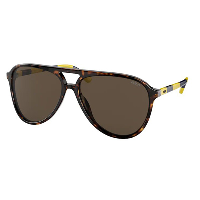 Polo PH4173 Sunglasses