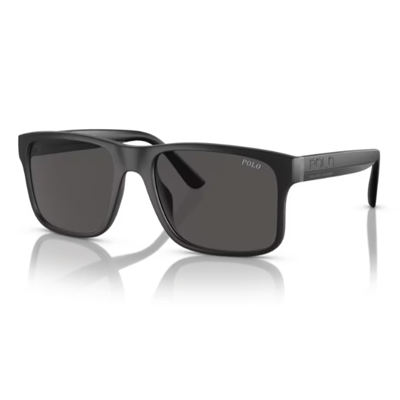 Polo PH4195U Sunglasses