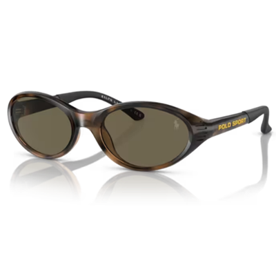 Polo PH4197U Sunglasses