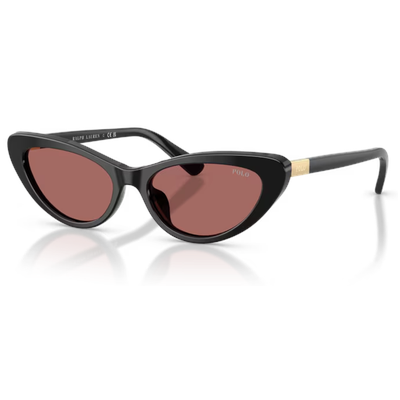 Polo PH4199U Sunglasses