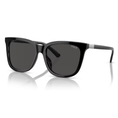 Polo PH4201U Sunglasses