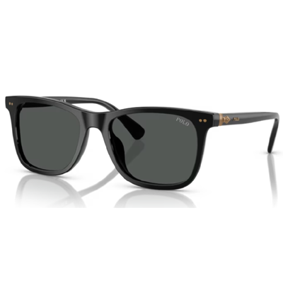 Polo PH4220U Sunglasses