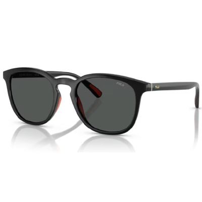Polo PH4222U Sunglasses