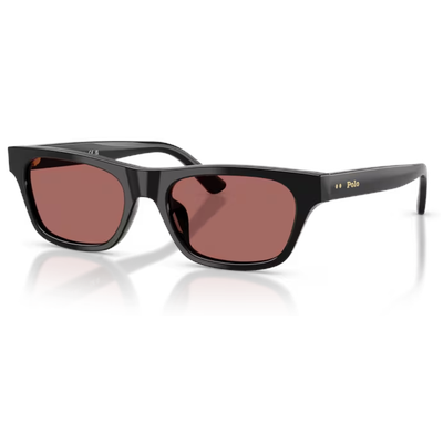 Polo PH4238U Sunglasses