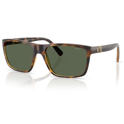 Polo PH 4133 PH4133 Sunglasses
