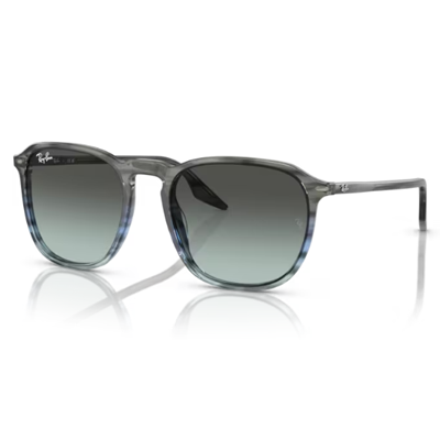 Ray-Ban RB2204 Sunglasses