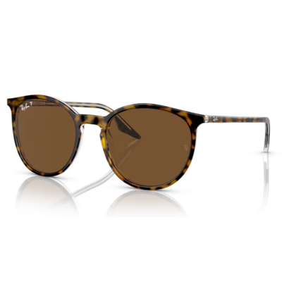 Ray-Ban RB2204 Sunglasses