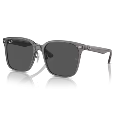 Ray-Ban RB2206D Sunglasses