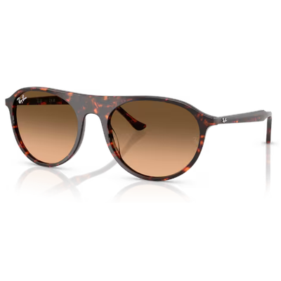 Ray-Ban RB2215 Sunglasses