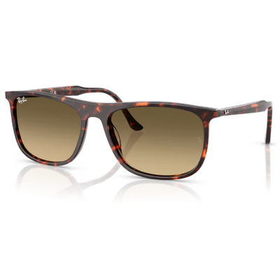 Ray-Ban RB2216 Sunglasses