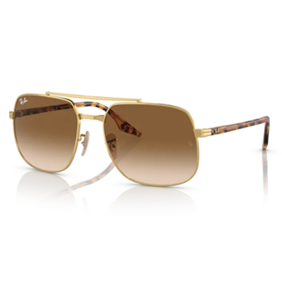 Ray-Ban RB3699 Sunglasses