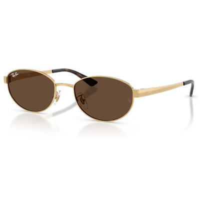Ray-Ban RB3774D Sunglasses