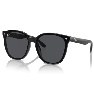 Ray-Ban RB4423D Sunglasses