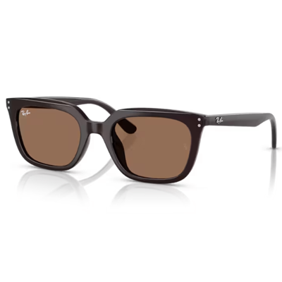Ray-Ban RB4439D Sunglasses