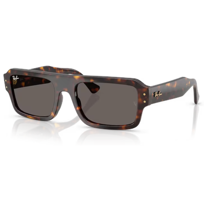 Ray-Ban RB4454 Flacko Sunglasses