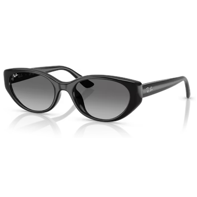 Ray-Ban RB4457D Sunglasses