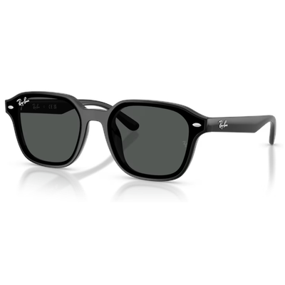 Ray-Ban RB4458D Sunglasses