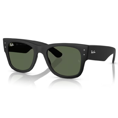 Ray-Ban RB4840S Sunglasses