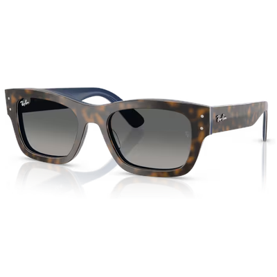 Ray-Ban RB7683S Joseph Sunglasses