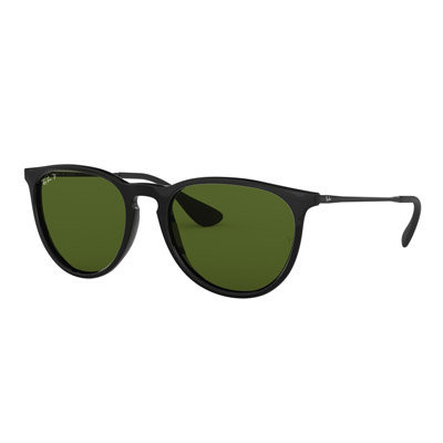 Ray Ban RB 4171 RB4171 Erika Sunglasses Designer Glasses