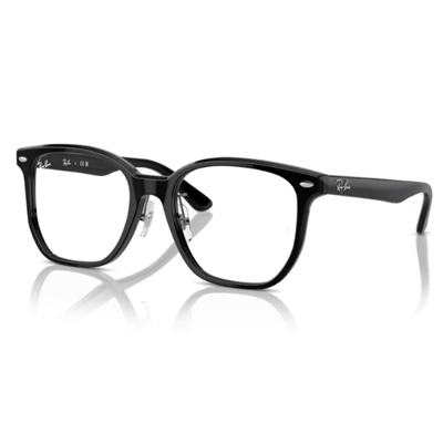 Ray-Ban RX5425D