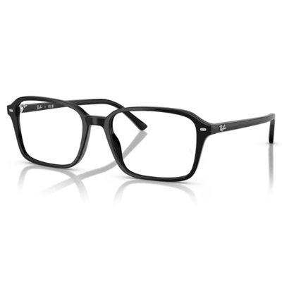 Ray-Ban RX5431 Raimond