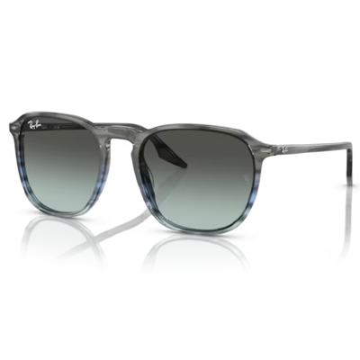 Ray Ban RB2203 Sunglasses