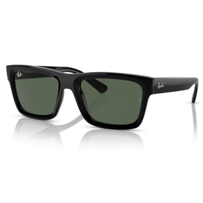 Ray Ban RB4396 Warren Sunglasses