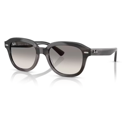 Ray Ban RB4398 Erik Sunglasses