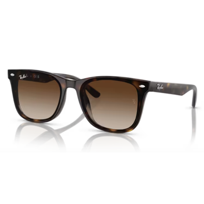 Ray Ban RB4420 Sunglasses