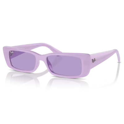 Ray Ban RB4425 Teru Sunglasses