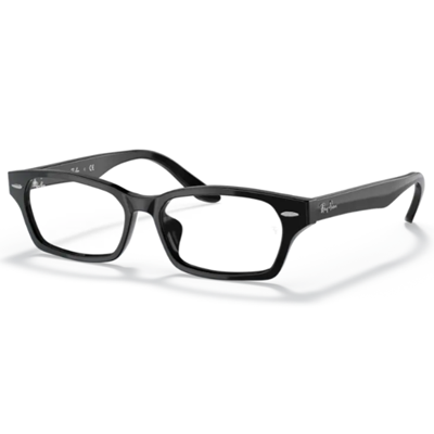 Ray Ban RX5344D