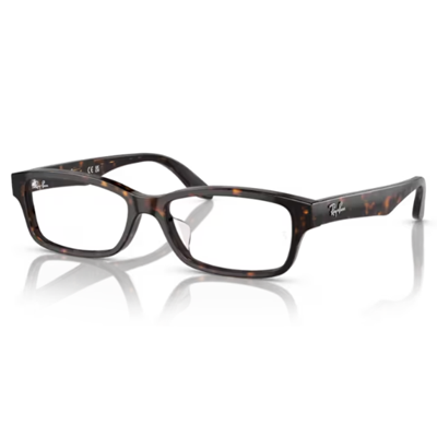 Ray Ban RX5415D