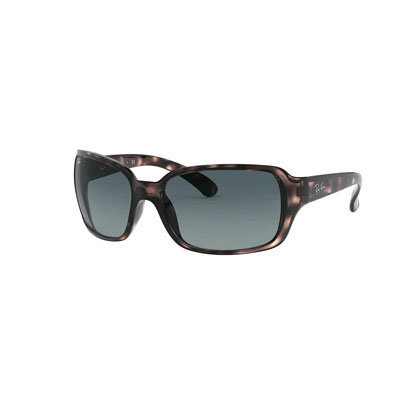 Ray sale ban 4068