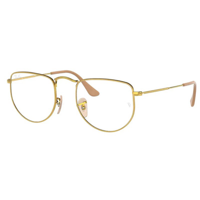 Rayban RX3958V Elon