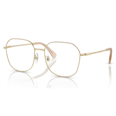 Swarovski SK1009D