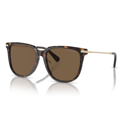 Swarovski SK6015D Sunglasses