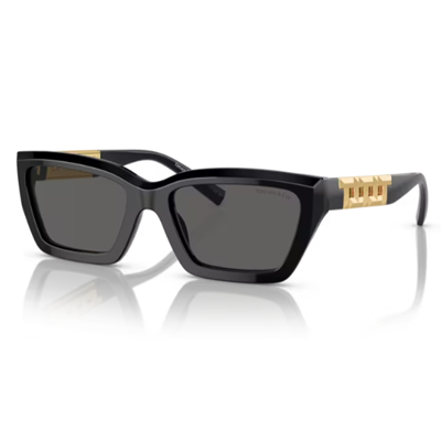 Tiffany TF4213 Sunglasses