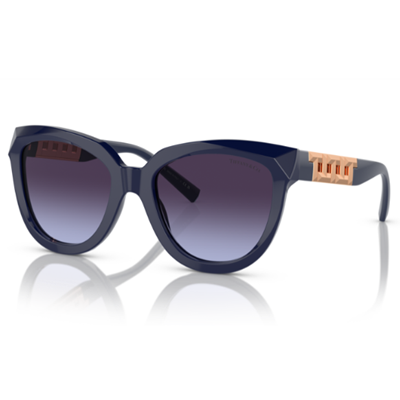 tf4122 sunglasses