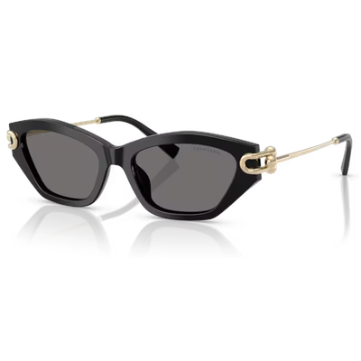 Tiffany TF4231U Sunglasses